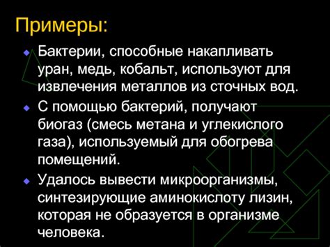 Возможности использования бактерий для извлечения металлов