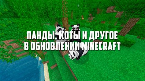 Возможности и использование головы панды в Minecraft