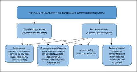 Возможности и перспективы развития компетенции в России