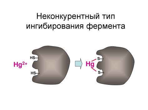 Возможности предотвращения ингибирования фермента тяжелыми металлами