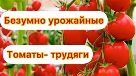 Возможность использования в любых погодных условиях