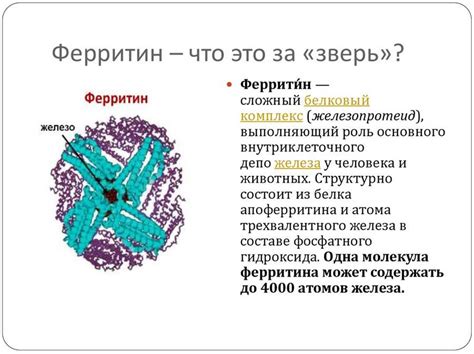 Возможные причины низкого уровня ферритина