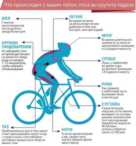 Возможные проблемы со здоровьем при профессиональной езде на велосипеде