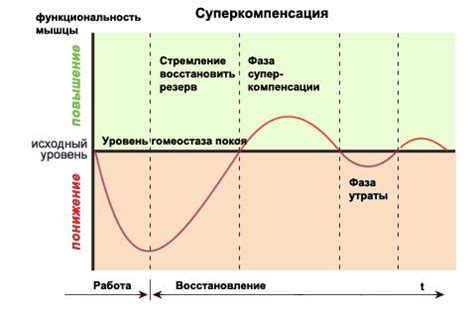 Восстановление здоровья спрута: основные моменты