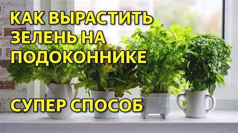 Восстановление растительности: как вернуть зелень на уничтоженных участках