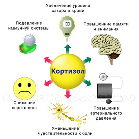 Вредные последствия проявления проблемы