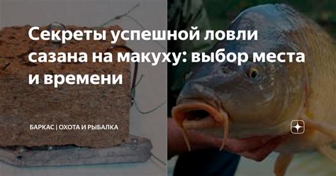 Выбор времени суток для успешной ловли