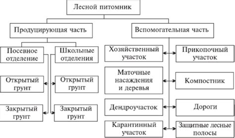 Выбор и подготовка места для питомника