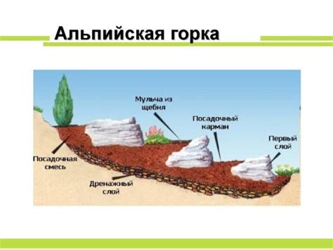 Выбор места для горки