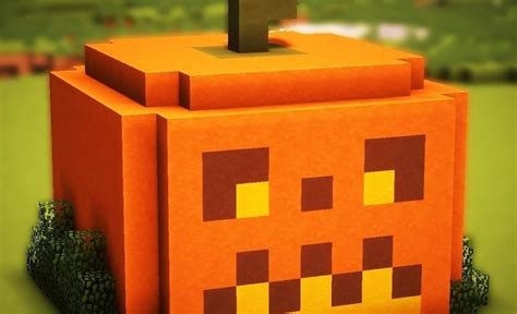 Выбор места для посадки и правильное расположение тыквы в Minecraft