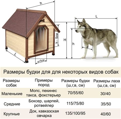 Выбор места и размеров будки