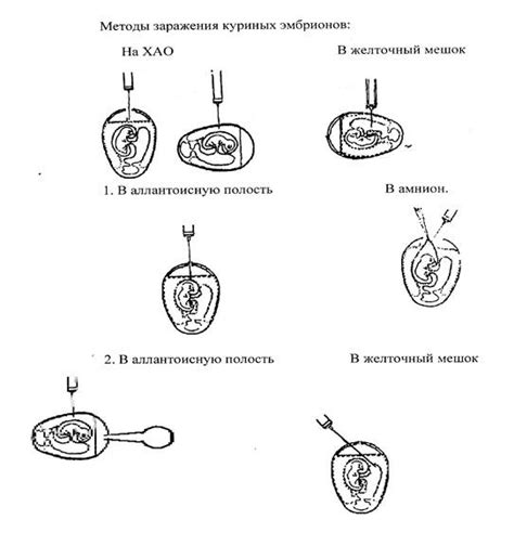 Выбор метода заражения