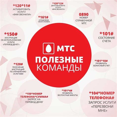 Выбор пакетов интернета МТС для телефона команды