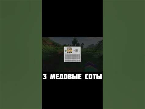 Выбор подходящего места для улья в мире Minecraft