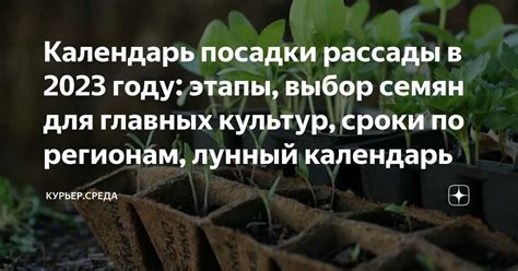 Выбор подходящего места и времени для посадки