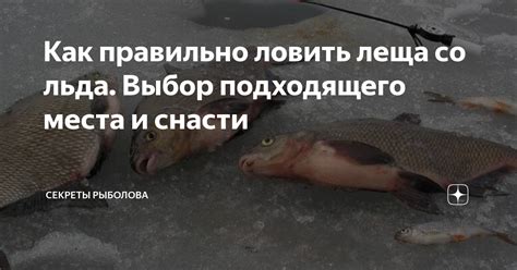 Выбор подходящего места и ресурсов