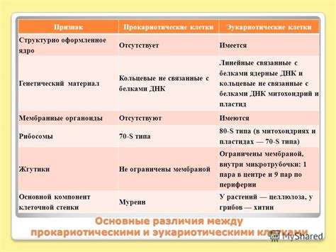 Выбор размера и типа клеточной сетки