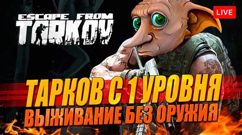 Выживание без оружия: игра в безопасности