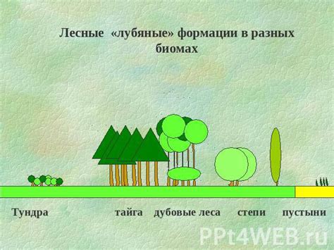 Выращивание адских деревьев в разных биомах