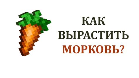 Выращивание моркови в Майнкрафте