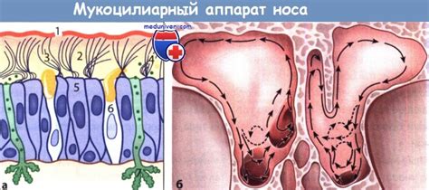 Высокая защитная функция