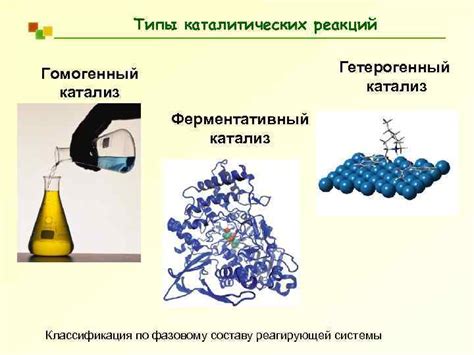 В катализе