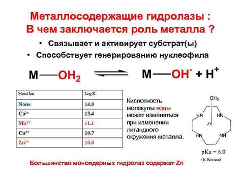 В чем заключается роль сборников металла?