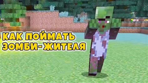 Где найти зомби-жителя в игре Minecraft