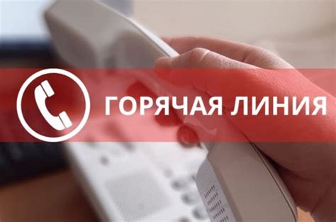 Где найти информацию о горячей линии