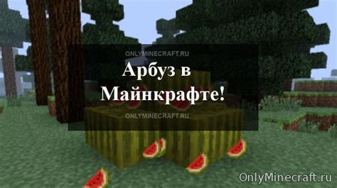 Где найти майнкрафт арбуз в игре Minecraft?