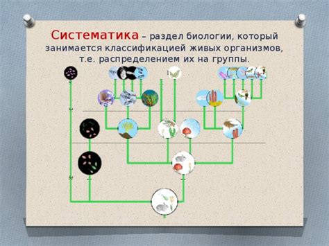 Геймплейное разнообразие и многообразие задач