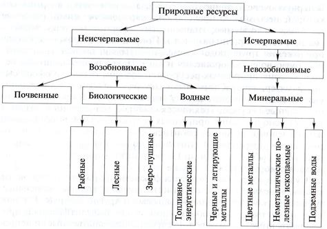 Географические условия и доступность ресурсов