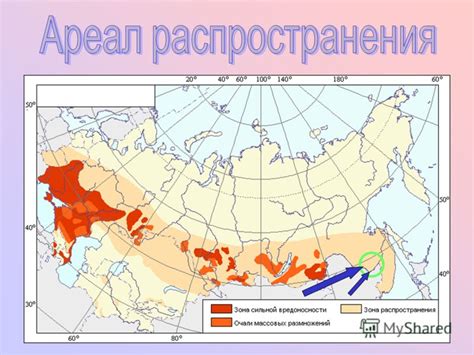 Географическое распространение цинка