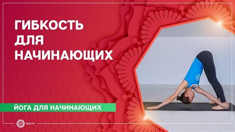 Гибкость и многоразовость