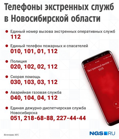 Главный номер телефона ТВК Евсино