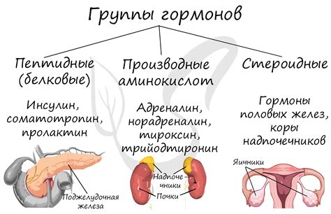 Гормоны эндокринной железы бранхиогенной группы