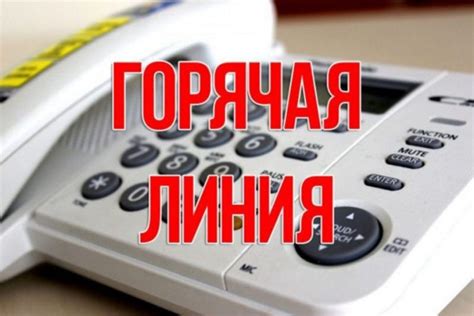 Горячая линия для консультаций