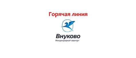 Горячая линия таможни Внуково: как получить нужную информацию