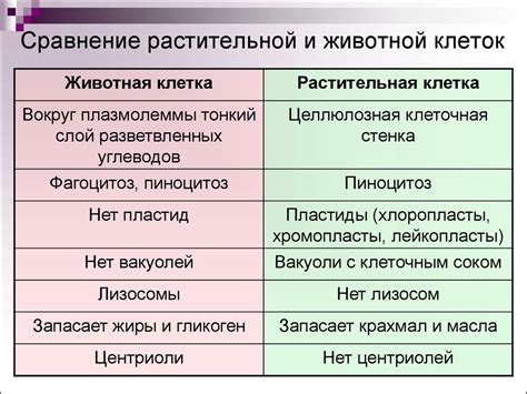 Графическое сходство и различия