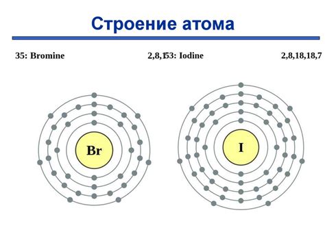 Группа галогенов