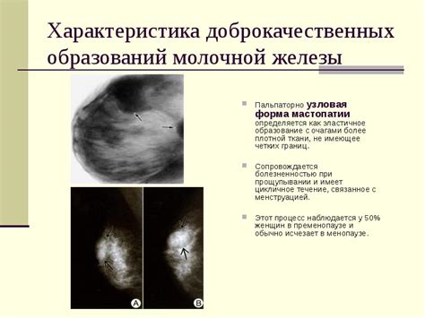 Действие камфорного масла на различные проблемы грудной железы