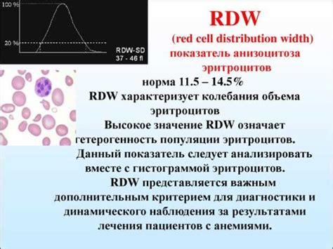 Диагностика пониженного уровня железа