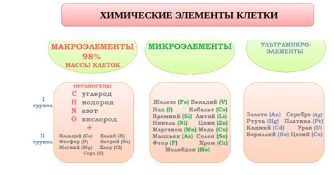 Диета и дефицит микроэлементов