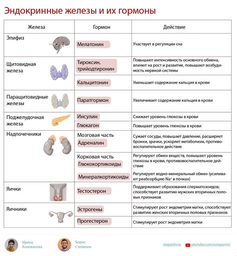 Добыча кислотной железы