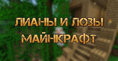 Добыча лианы в Minecraft: важные советы и подробный гайд