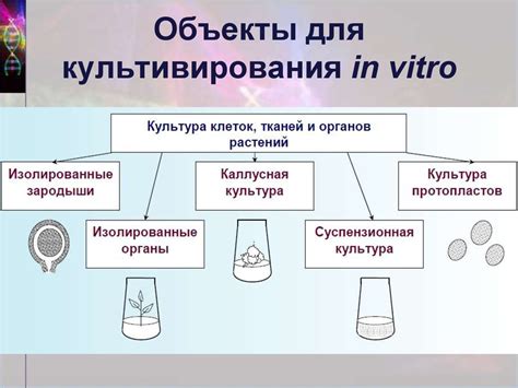 Достижение новых уровней путем культивирования растений