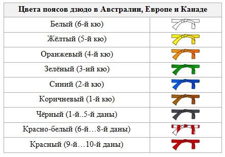 Достижения и ранги в мире дзюдо