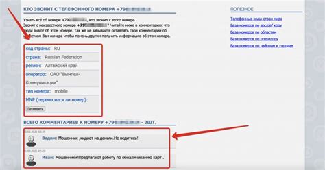 Доступная информация по номеру телефона