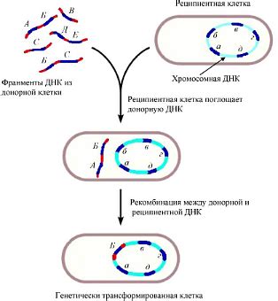 Естественная окисляция