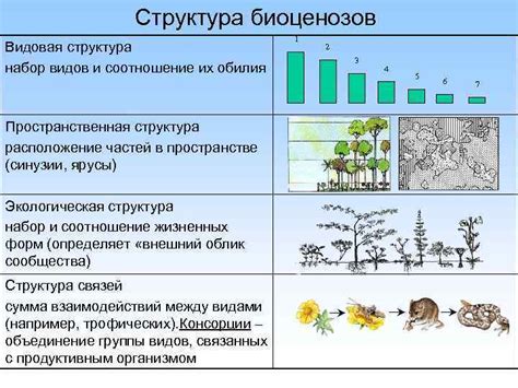 Естественный вид и структура